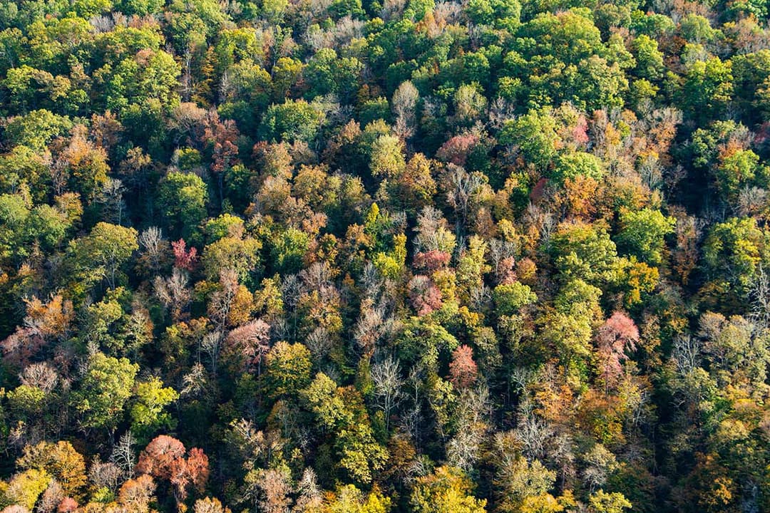 Paragould, United States